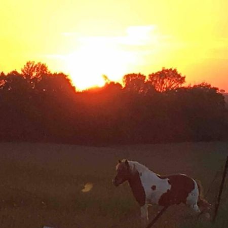 Farmhouse Guest Suite, Pool, Hot Tub, Horses Midhurst 外观 照片